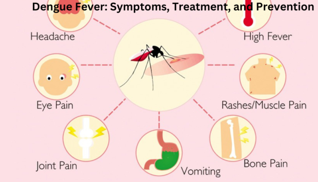 An informative illustration depicting symptoms, treatment, and prevention of Dengue Fever with a central image of a mosquito and surrounding icons representing headache, high fever, eye pain, rashes/muscle pain, bone pain, vomiting, and joint pain.