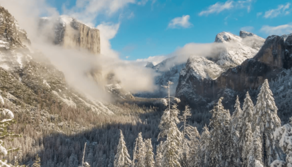 A breathtaking winter landscape of Yosemite National Park with snow-covered trees and cliffs partially obscured by clouds.